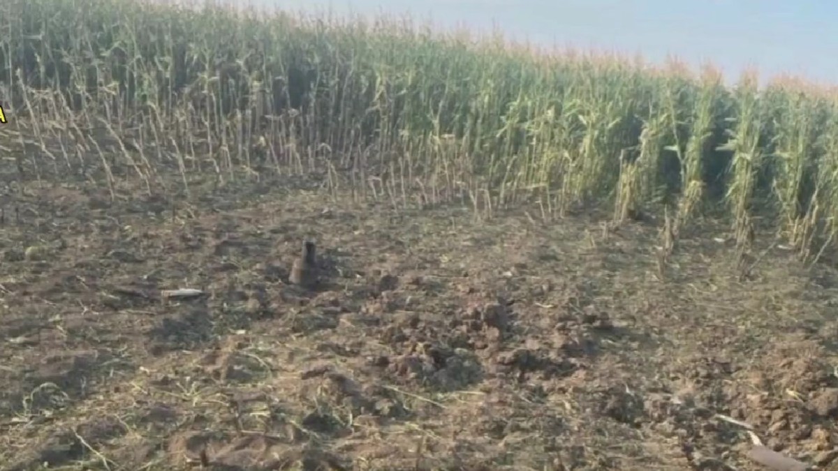 Resturi din obiectul care s-a prăbușit și a provocat un incendiu pe un câmp din sudul Republicii Moldova Captură Facebook Poliția Republicii Moldova