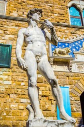 Statuia David sculptată de Michelangelo