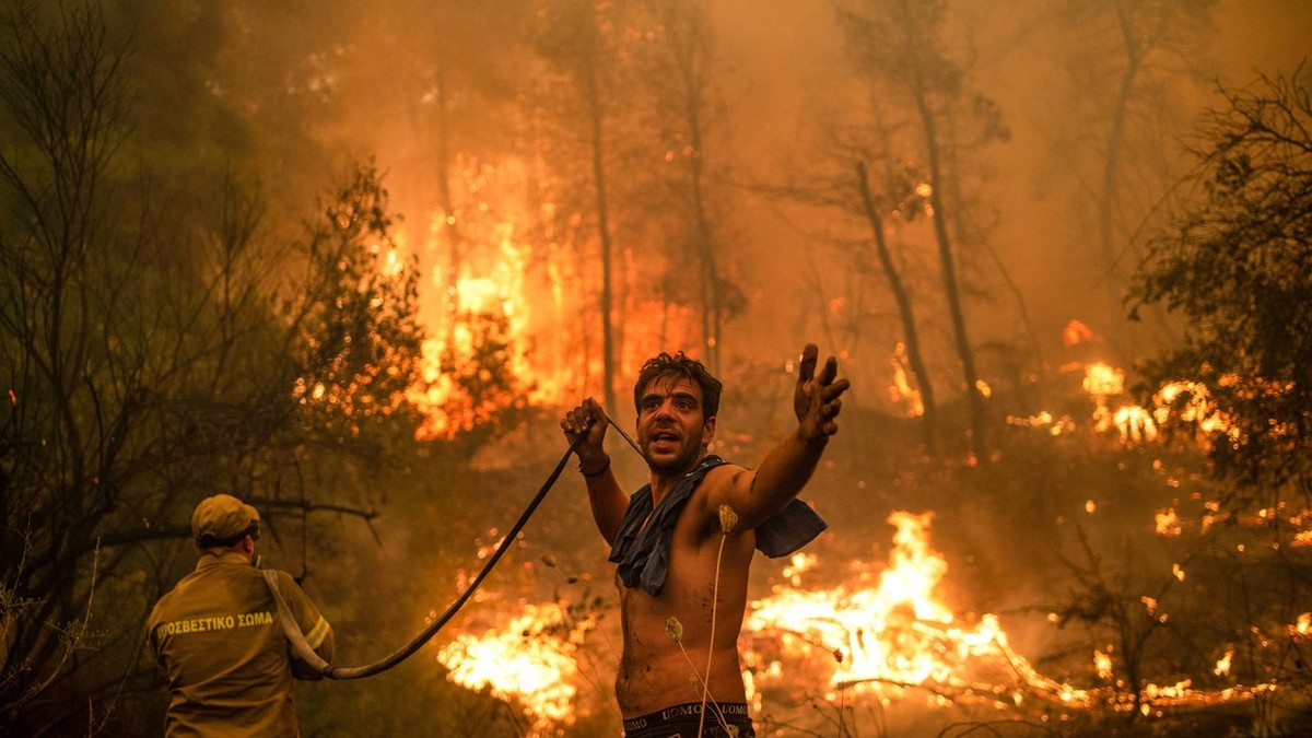 La începutul lunii august, insula Ettica a fost devastată de incendii de vegetație | Foto: Profimedia