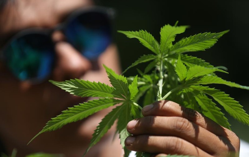 O femeie cultiva canabis într-un centru de bătrâni din Germania. „Îi plăcea planta”
