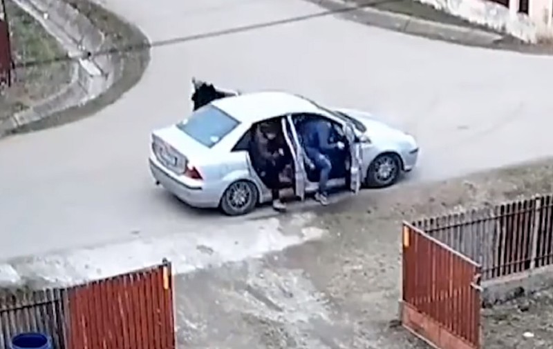 Momentul în care 11 oameni și-un câine ies dintr-o mașină. Imaginile filmate la Măgura s-au viralizat. VIDEO