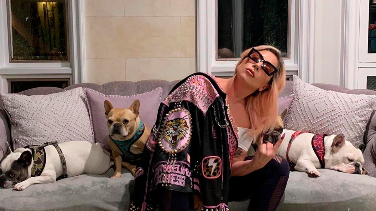 Lady Gaga, alături de cei 3 câini ai săi
