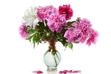 Buchet de Bujori