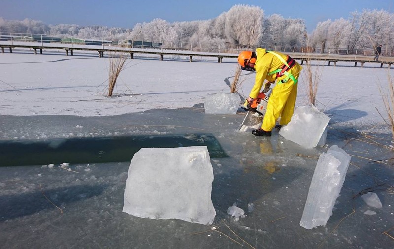 Un lac uriaș, de 113 km pătrați, a înghețat complet. Un spectacol natural care nu s-a mai văzut de ani buni, în Germania
