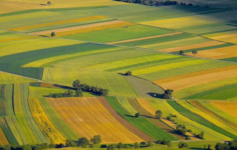 Terenurile agricole cumpărate prin credit, garantate de stat, chiar și pe cele luate înapoi de la străini