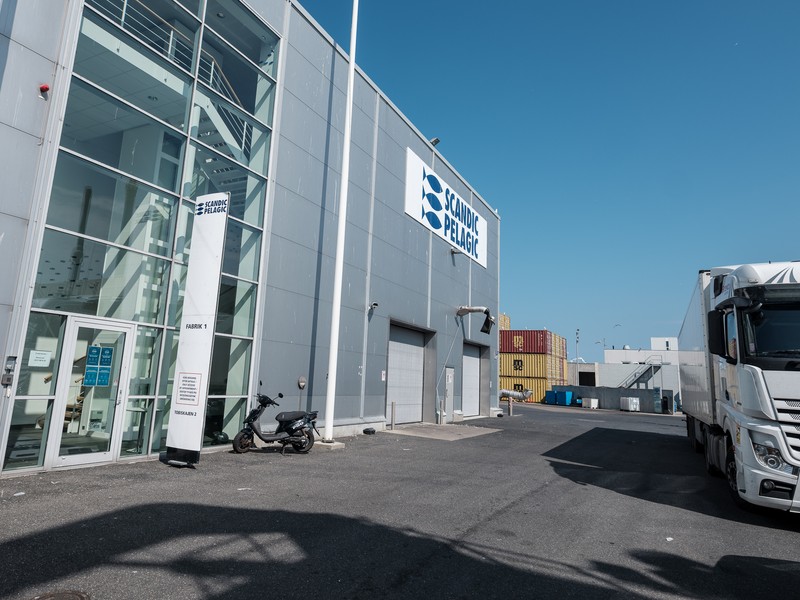 Fabrica de pește Scandic Pelagic, Skagen, Danemarca