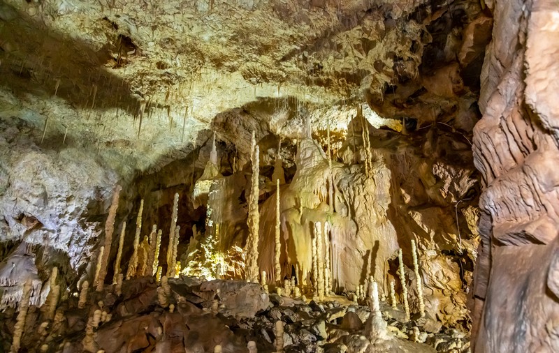 Peștera Urșilor - cum ajungi la ea și ce obiective turistice poți vizita în zonă