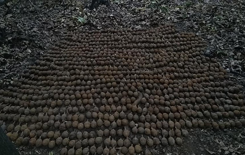Căutătorii de comori din Vrancea au descoperit într-o pădurice 1.087 de grenade!