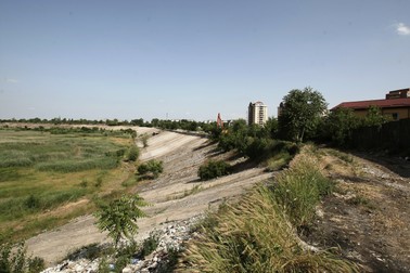 Arhiva foto