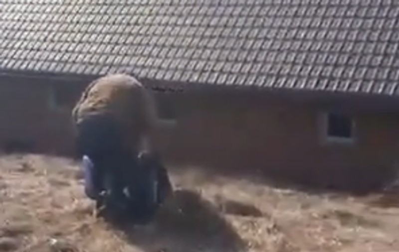 Fost antrenor al echipei de fotbal Minerul Cavnic, cercetat de poliție după ce a fost filmat în timp ce bătea un băiat de 16 ani