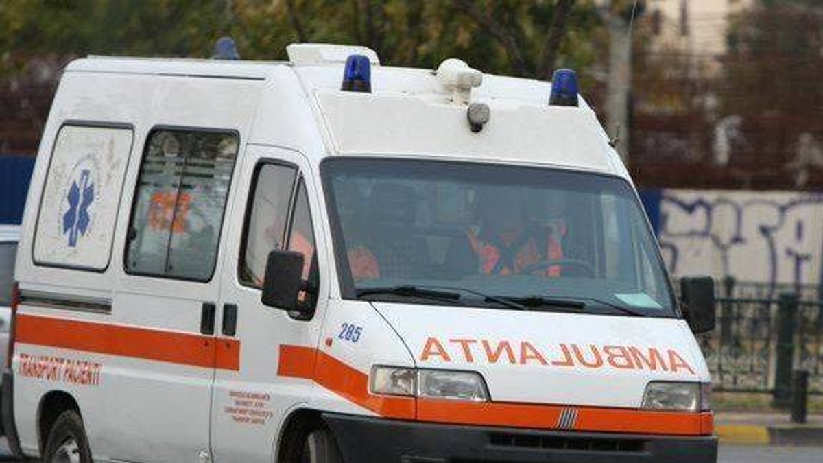 Arhiva foto