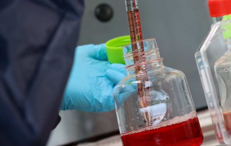 Un test de sânge poate detecta peste 50 de tipuri de cancer înainte de apariția simptomelor. Când va fi implementat