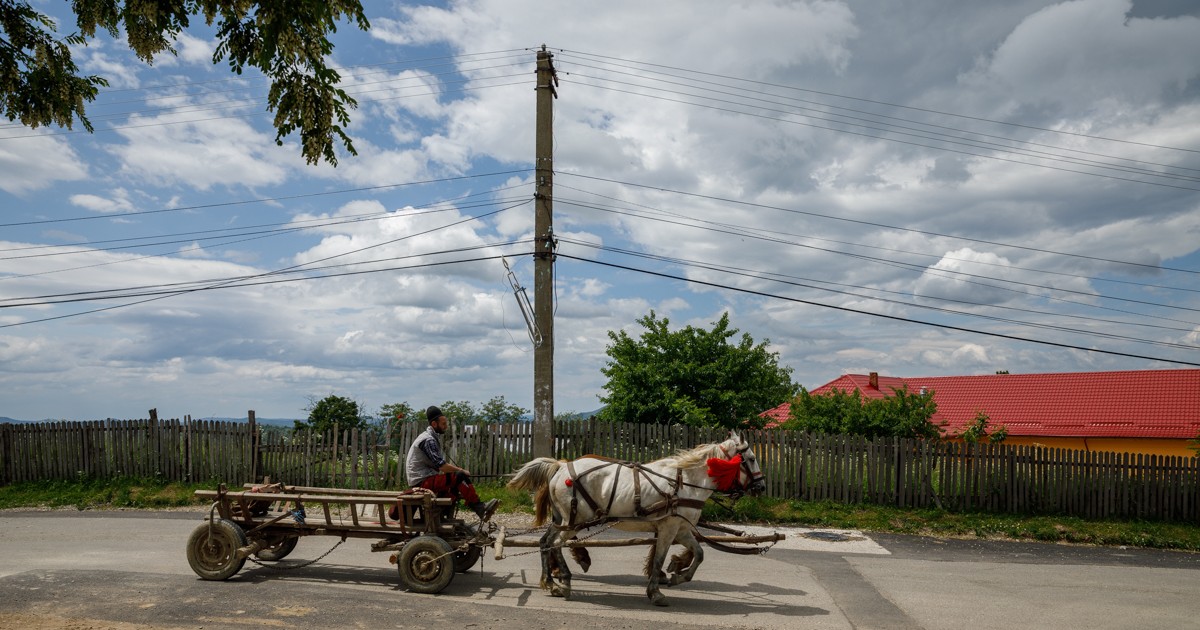 Arhiva foto