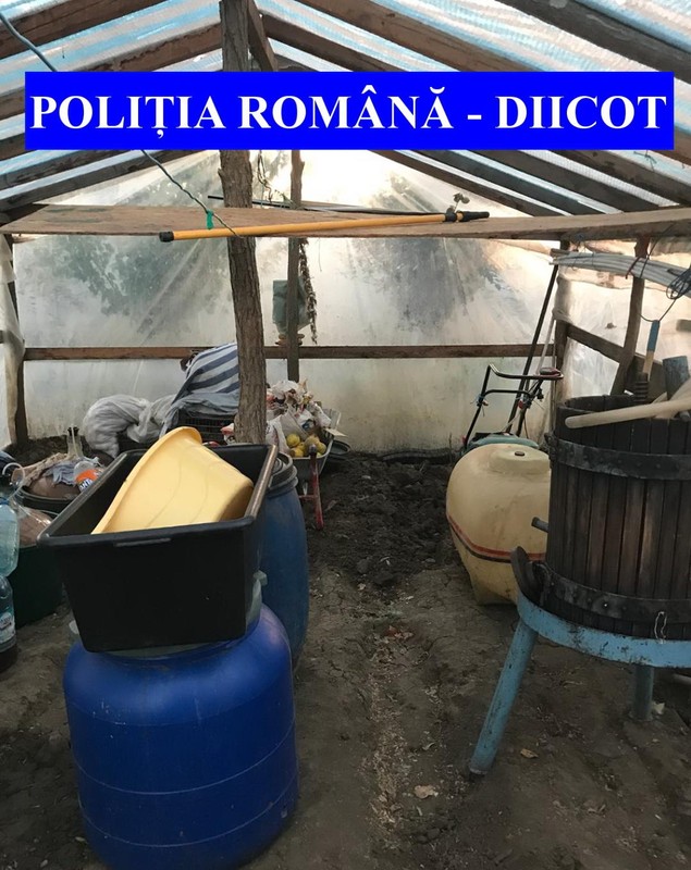 Doi bărbaţi din județul Galați care au forţat cinci persoane să muncească la o stână au fost reţinuţi| FOTO