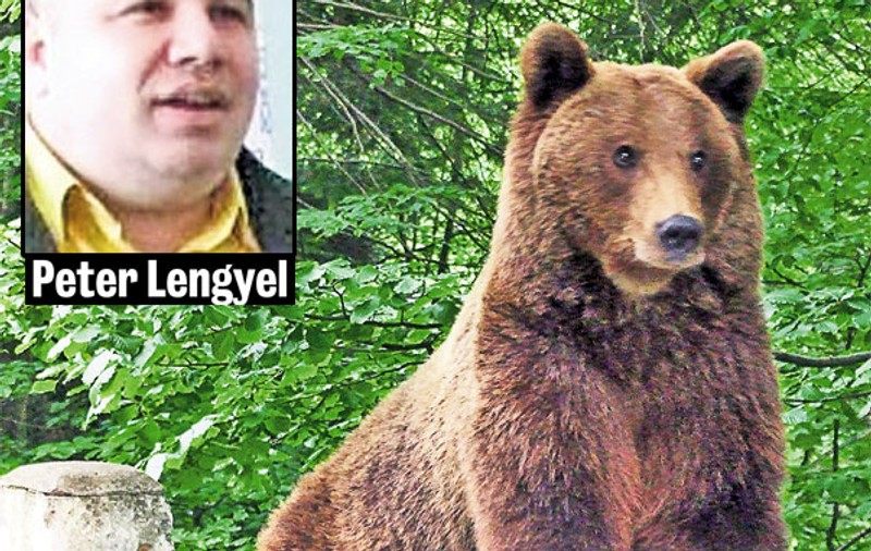Un expert român comentează problema animalelor sălbatice: «Urşii sunt hăituiţi pentru bani»