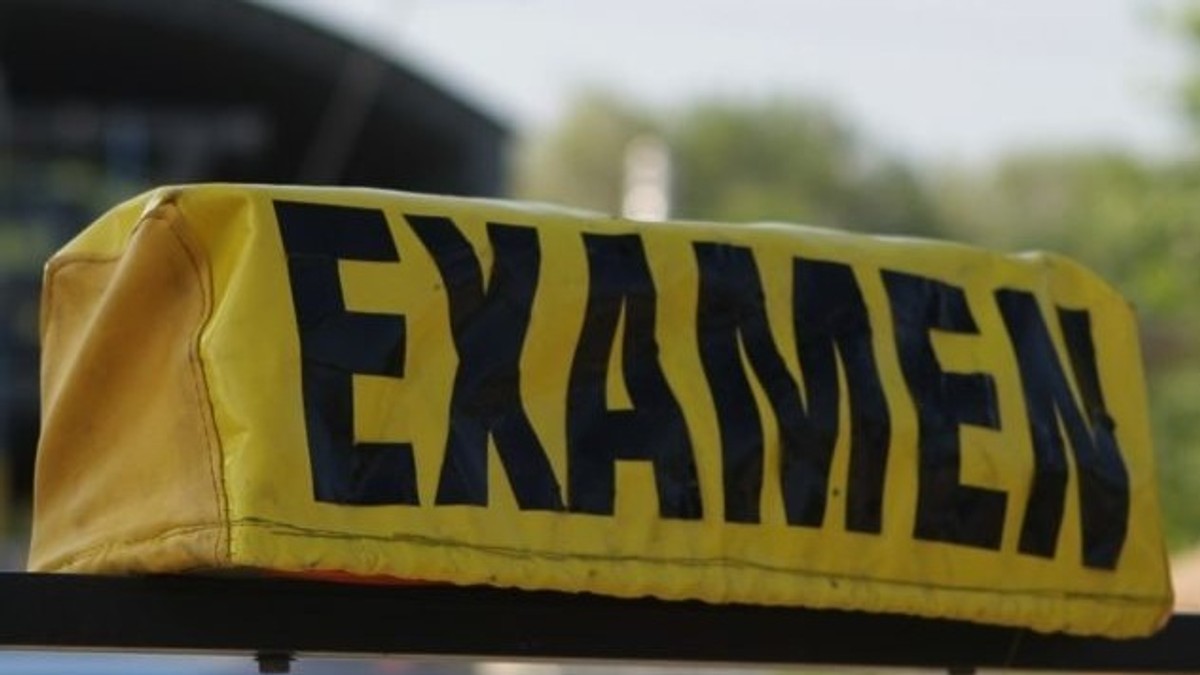 a picat examenul auto din cauza unor porumbei