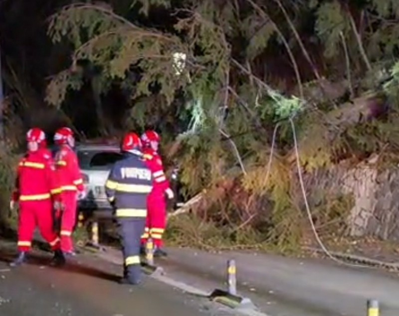Furtună puternică pe Valea Prahovei: un stâlp a fost rupt, mai mulți copaci au fost doborâți de vânt, iar unul a căzut pe o mașină cu 3 oameni