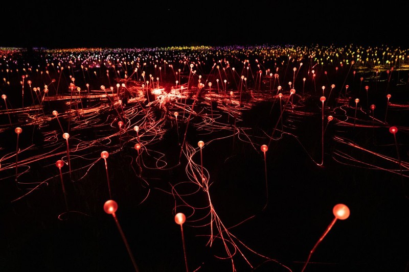 Field of Lights din Uluru