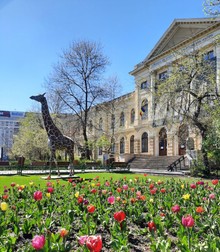 Muzeul Grigore Antipa din București. Sursa foto: Facebook/Muzeul Național de Istorie Naturală Grigore Antipa