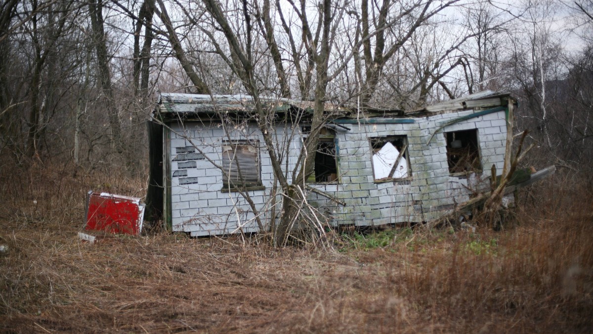 O clădire abandonată din orașul Centralia, din SUA. Casa este înconjurata de arbori