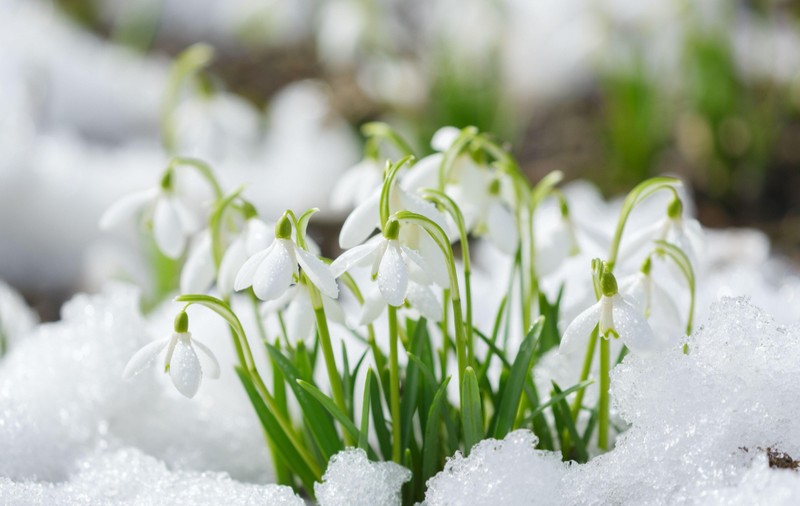 Cum va fi vremea mâine. Prognoza meteo pentru sâmbătă, 1 martie 2025