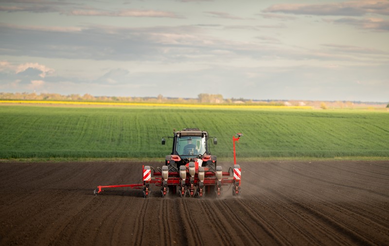 Revenire spectaculoasă a marilor ferme din România, după măsurile din agricultură ale Guvernului Ciolacu; de la pierderi, la profit de zeci de milioane de euro în doar 12 luni
