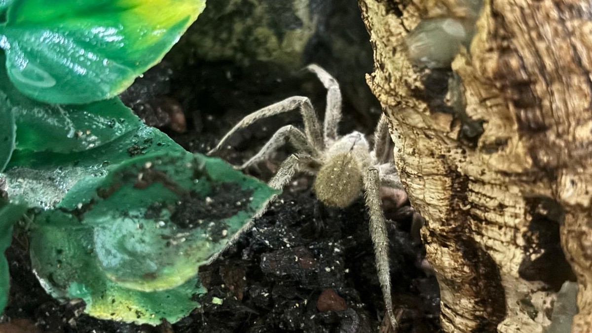 Arhiva foto