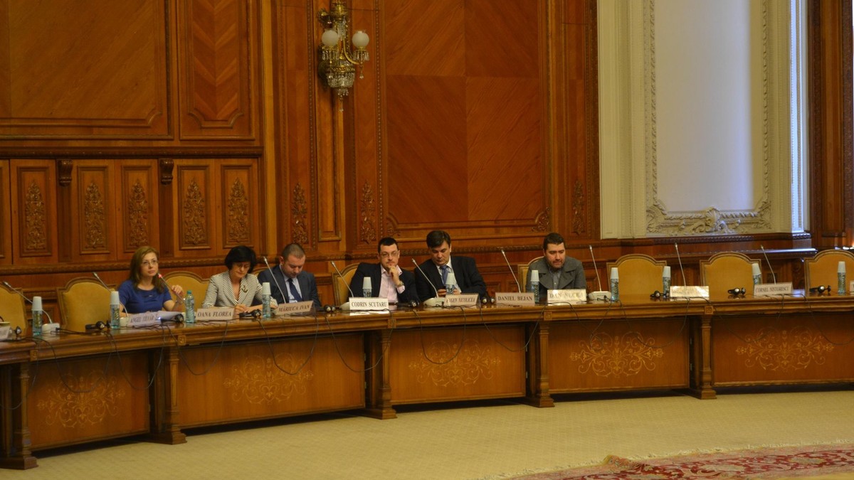 Ședință la comisia parlamentară de anchetă privind alegerile din 2009
