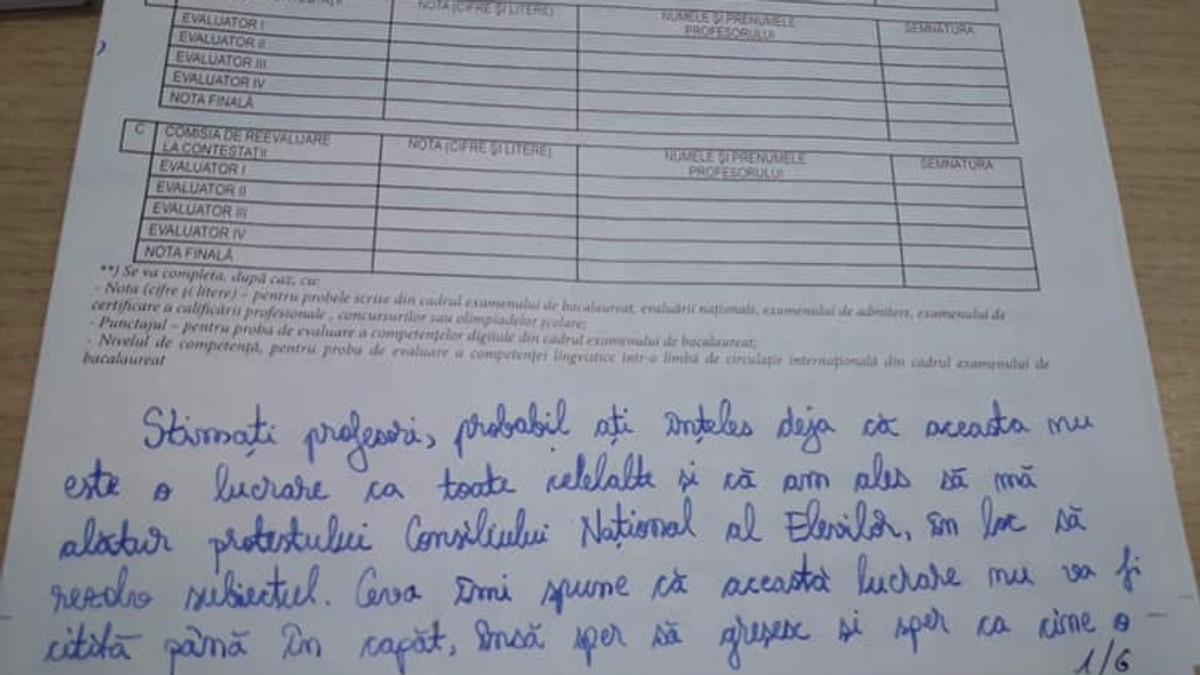 O elevă din Satu Mare și-a scris nemulțumirile față de sistemul de educație la simularea BAC 2019
