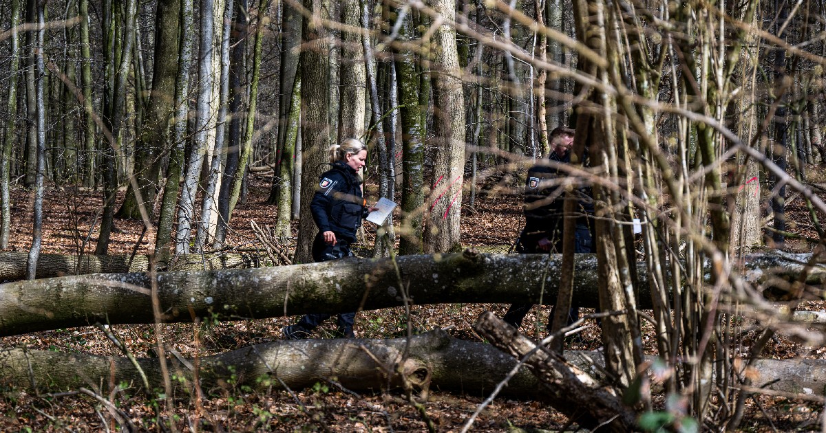 Imaginea prezintă doi polițiști aflați într-o misiune de căutare sau investigație într-o zonă împădurită cu mulți copaci tăiați sau căzuți la pământ.