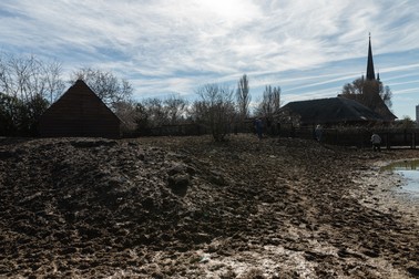 Ţarcul de la Delfinariu unde sunt ţinuţi cei 13 cai preluaţi de la procurorul Ţucă | Foto: Vlad Chirea