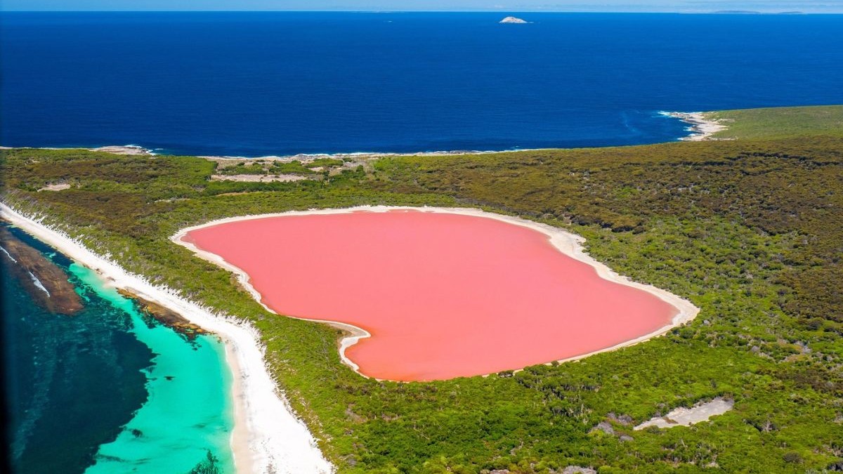 Lacul Hiller, de culoare roz, din Australia