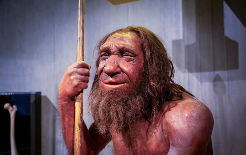 Bărbații neanderthalieni au dominat împerecherile cu homo sapiens acum 50.000 de ani, relevă un studiu