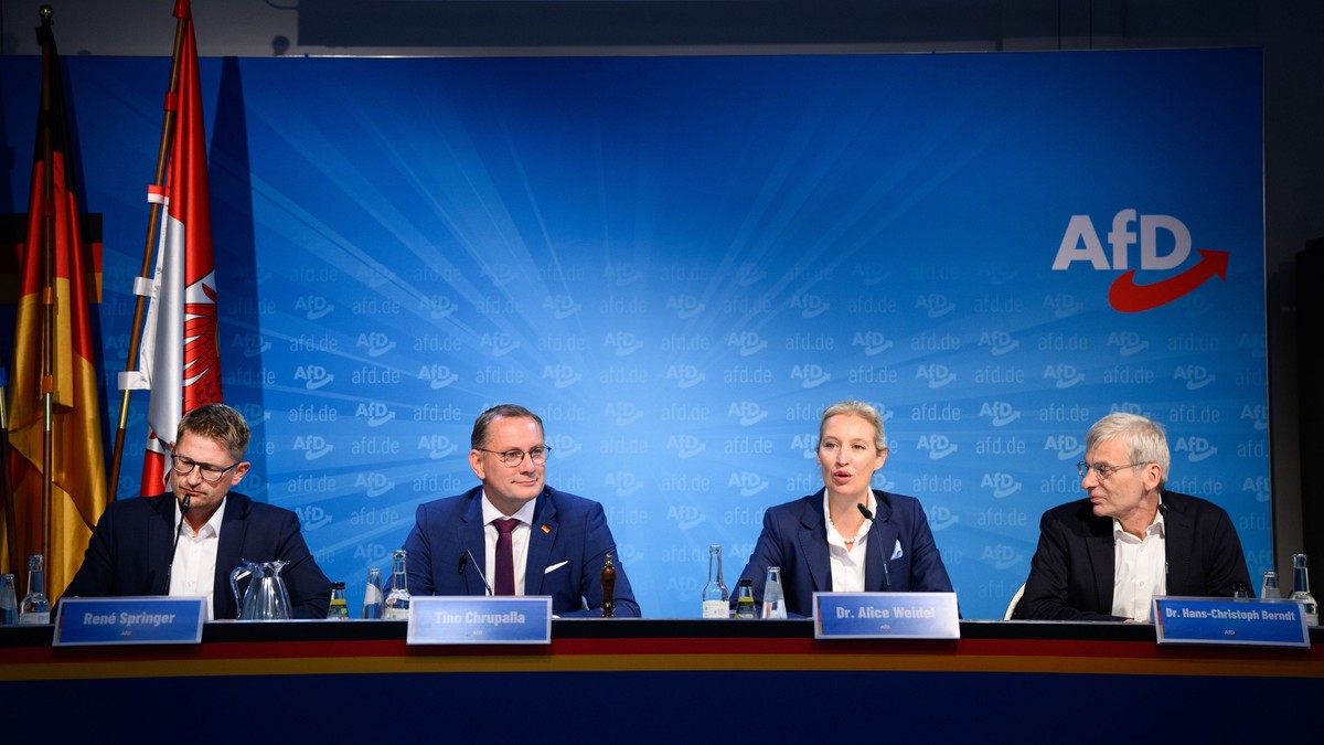 Reprezentanți ai conducerii AfD Foto: Hepta