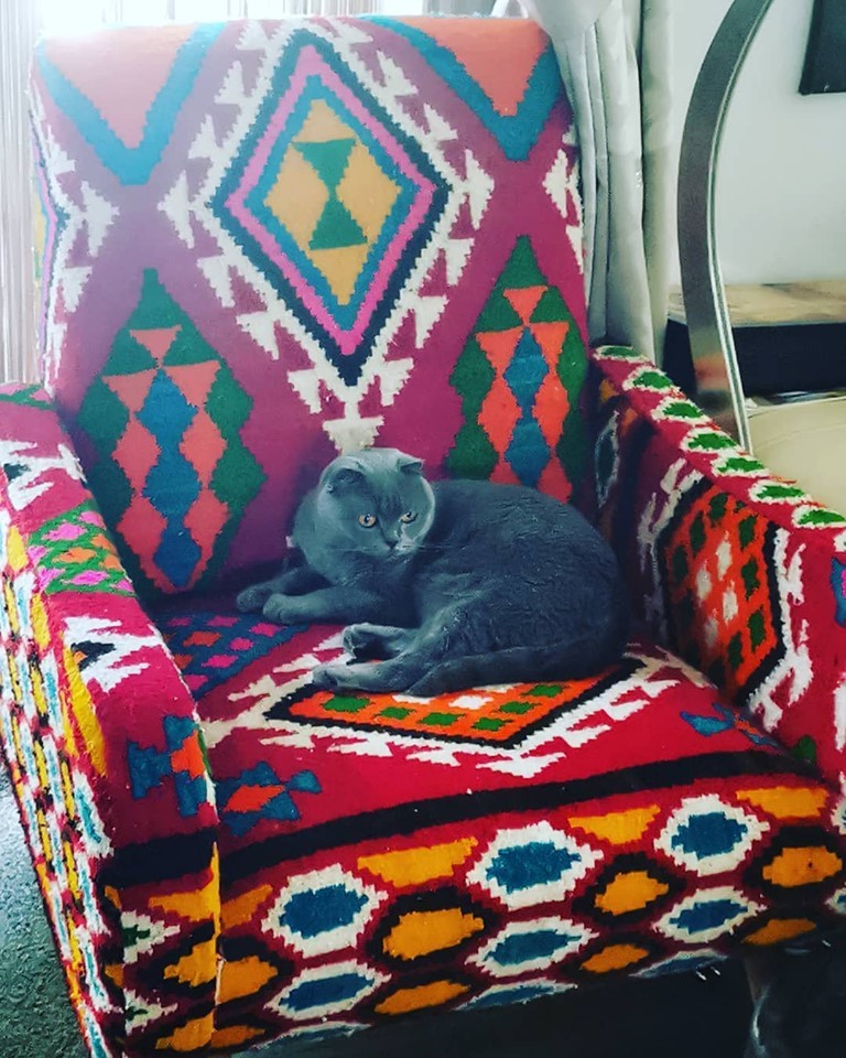 Arhiva foto