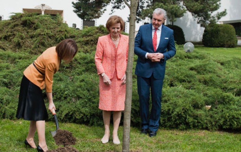 Maia Sandu, primită la Palatul Elisabeta de familia regală. Președinta Republicii Moldova a plantat un stejar