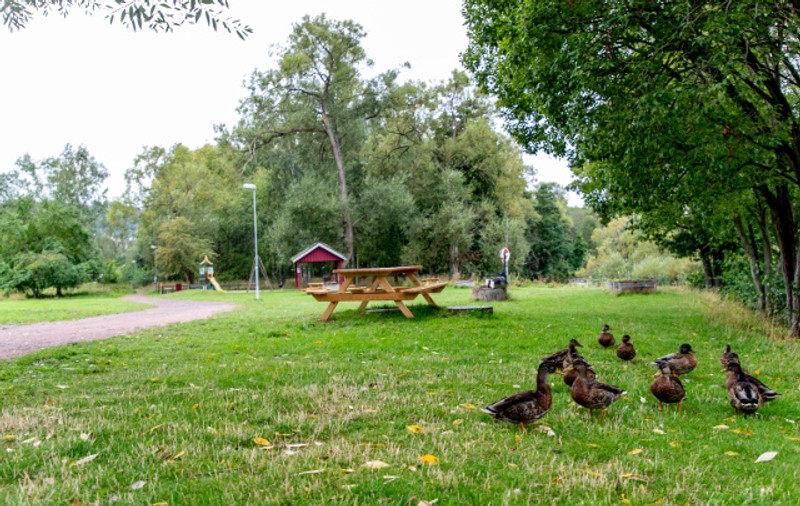 Un cerșetor român, ucis în bătaie în Suedia. Bărbatul a ajuns pe străzi după ce și-a pierdut locul de muncă