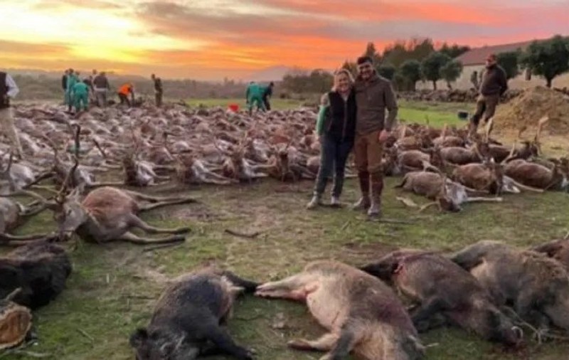 Indignare în Portugalia, după ce 540 de animale, căprioare şi mistreţi, au fost împușcate la o vânătoare privată