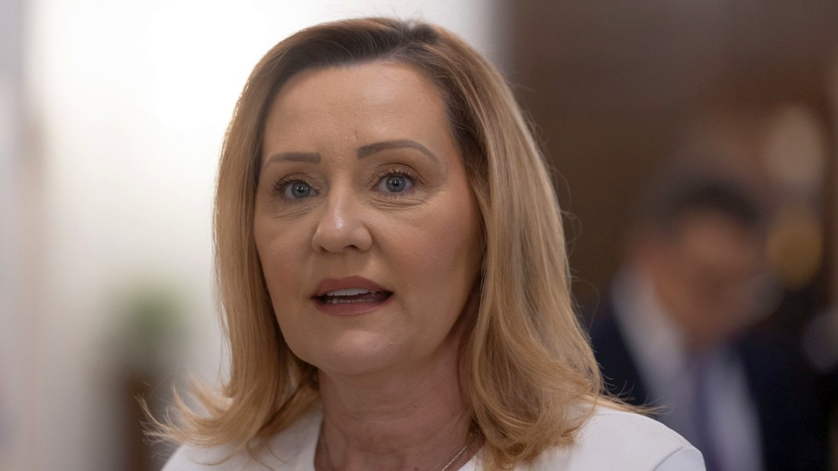 Elena Lasconi a fost președinta USR un an
