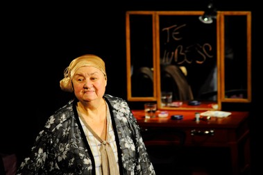 Tamara Buciuceanu, in spectacolul "Divortul de aur", pe scena Teatrului Mr. Gh. Pastia din Focsani, vineri, 25 septembrie 2009. ALEX CHITU / MEDIAFAX FOTO