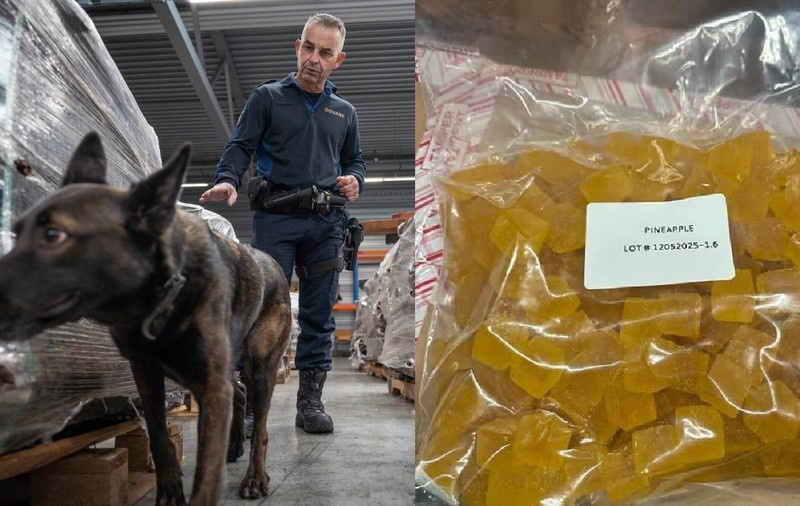 Vameșii din Olanda au confiscat 3.200 de kilograme de dulciuri „glazurate” cu marijuana