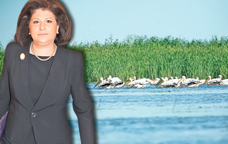 Ancheta ziarului Libertatea nu a rămas fără efect! Rovana Plumb caută soluţii pentru a salva pelicanul şi, implicit, echilibrul natural al Deltei Dunării