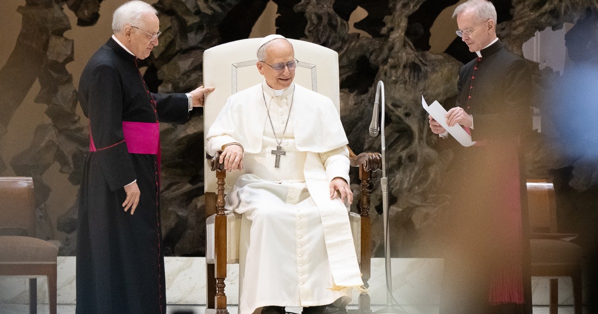 Papa Leon al XIV-lea, la Vatican.