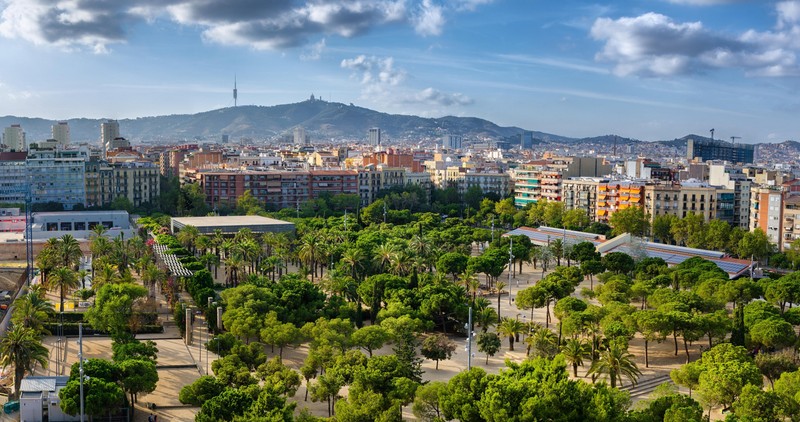Green park with palmtrees in Barcelona, summer Spain,Image: 318278643, License: Royalty-free, Restrictions: , Model Release: no