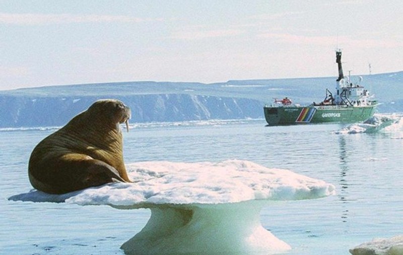 În 10 ani, Arctica ar putea rămâne fără gheaţă
