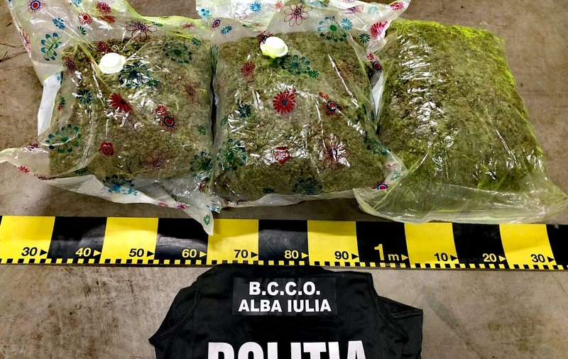 Tânăr din Alba, prins de DIICOT cu 7,5 kg de canabis. Cum au fost introduse drogurile în țară