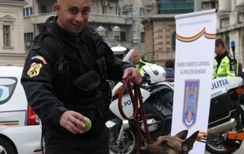 Foto | El e Sparky, câinele-poliţist care găseşte bombe