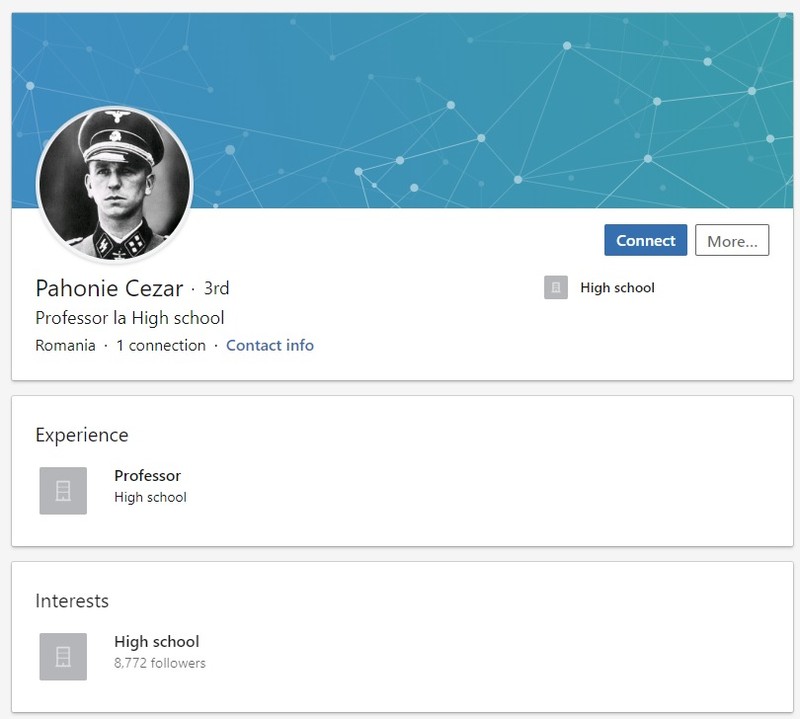 Proflul de LinkedIn al profesorului Cezar Pahonie, în care apare poza criminalului nazist Kurt Meyer