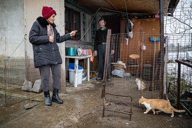 Bunicii lui I. au fost vizitaţi de două ori de asistenţi sociali