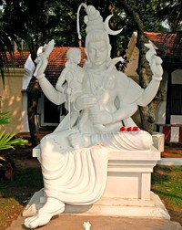 Arhiva foto